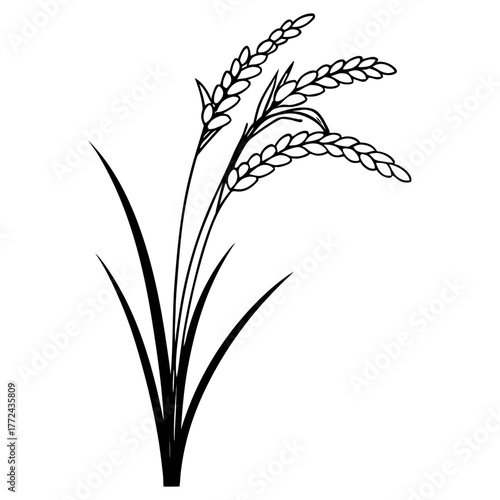 Black and White Rice Plant Vector Illustration. Agricultural Grain Crop Design.