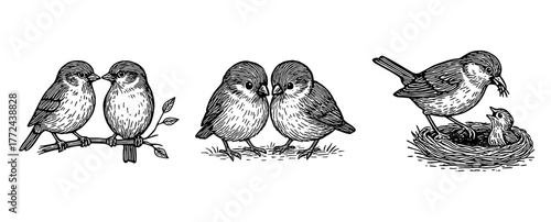 寄り添うスズメたちのペン画イラスト、Pen Drawing of Sparrows Sitting Close Together