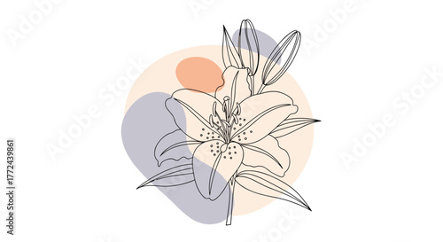 Elegant floral line art design of a lily with abstract geometric shapes for backgrounds, invitations, and decorative purposes.