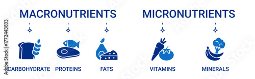 Nutrients icon set containing micronutrients and macronutrients types vector icons