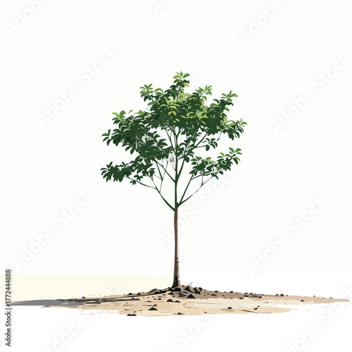 Palash Sapling in Dry Cracked Plain under Neutral Daylight