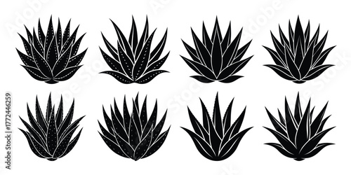 Collection of eight detailed black agave plant silhouettes against a white background silhouette