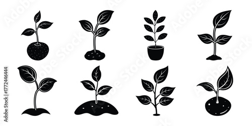 Collection of eight diverse plant growth stages in a black silhouette style