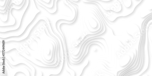 Abstract background vector Abstract wavy line 3d paper cut white background. Abstract pattern with lines. Abstract sea map geographic contour map and topographic contours map background.	