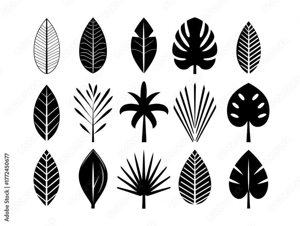 Fototapeta premium Tropical leaf silhouette set featuring various palm monstera and botanical shapes perfect for nature inspired design decoration and creative projects with modern minimal style