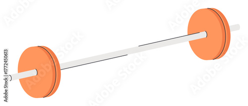 Heavy Barbell with Weights for Gym Exercises.