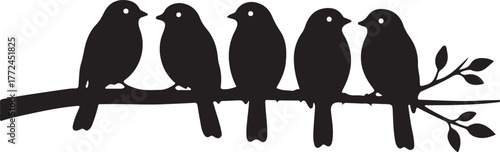 Silhouette of birds sitting on branch, nature and freedom theme, white background