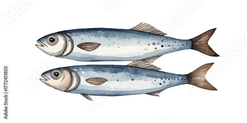 Sea watercolor pattern. Sardines, fish, herring. Simple decor in Scandinavian style in soft blue and brown tones. For wrapping paper, fabric. Vector