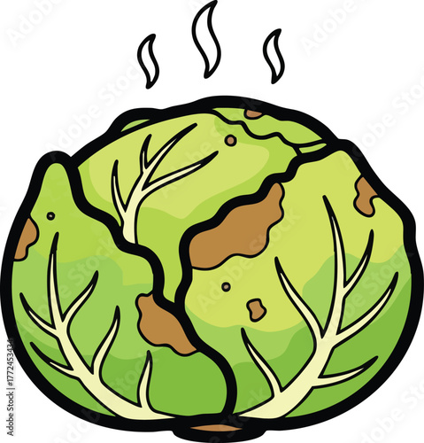 Rotten Cabbage with Steam Rising in a Close-Up View Against a White Background