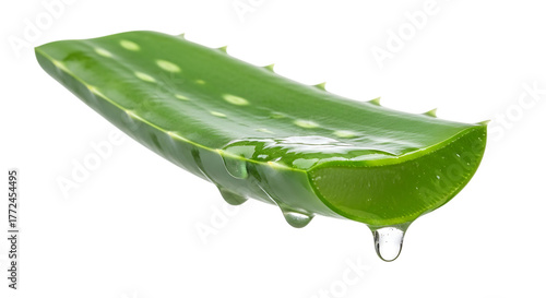 Fresh green aloe vera leaf with clear gel dripping from cut edge, cutout, PNG isolated on white or transparent background