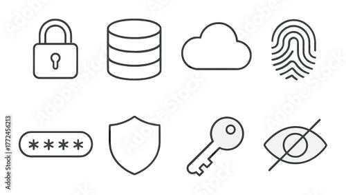 Cybersecurity symbols: lock, cloud, fingerprint, password, shield, key, privacy