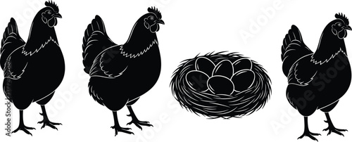 Chicken silhouette vector illustration, farm hen with eggs in nest, poultry farming concept, rustic agriculture scene, black and white animal art