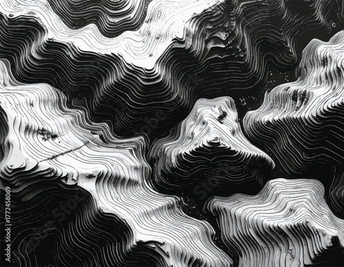 Abstract black and white layered landscape - monochrome textured design resembling topographic maps