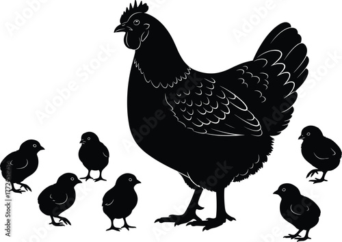 Hen silhouette with chicks, mother bird care, poultry family vector, farm animal illustration, black chicken art, nature parenting concept