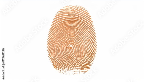 Partial Fingerprint Whorl:  Orange and Brown Texture on White Background
