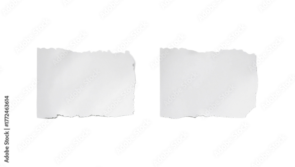 Fototapeta premium Two Blank Torn Paper Rectangles Ideal for Notes, Messages, or Creative Designs