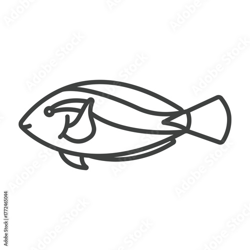 Outline of a fish distinctively shaped displaying fin features and a small eye