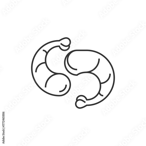 Two shrimp line art facing each other