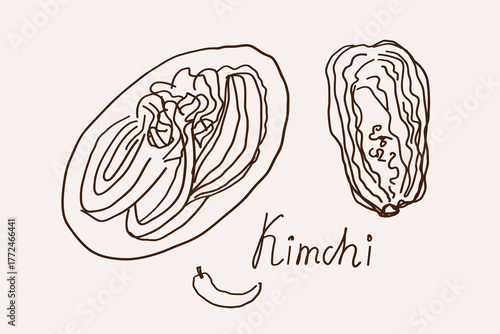 Napa Cabbage Kimchi. Sketch of Korean food made from fermented vegetables, spicy pickled leaves. Vector illustration on isolated background. Design elements in line art style for menu, logo, label