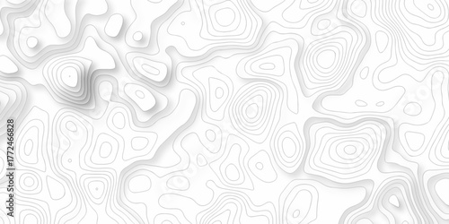 Abstract background with a wave grid map and topography map and seamless pattern with lines White wave paper curved reliefs abstract background, Abstract topographic contours map background.	
