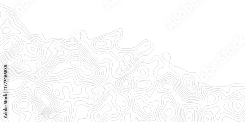 Abstract background with a wave grid map and topography map and seamless pattern with lines White wave paper curved reliefs abstract background, Abstract topographic contours map background.	

