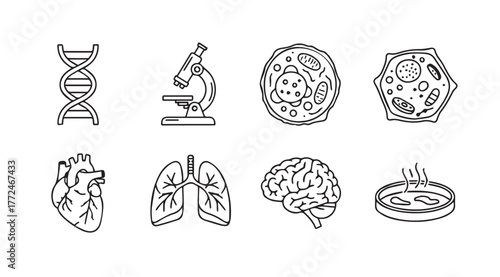 Hand drawn science icons set featuring dna heart lungs brain microscope cell vector