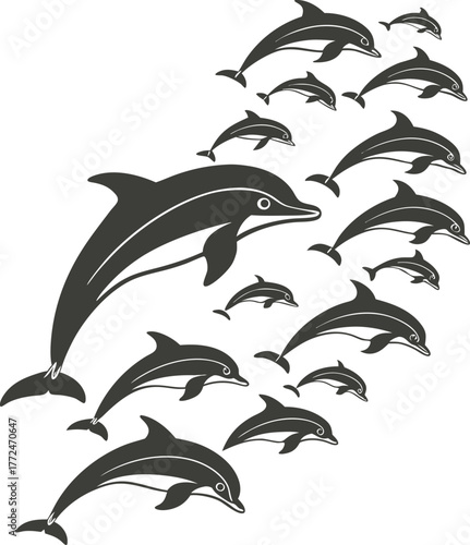 A pod of dolphins swimming together isolated on white background