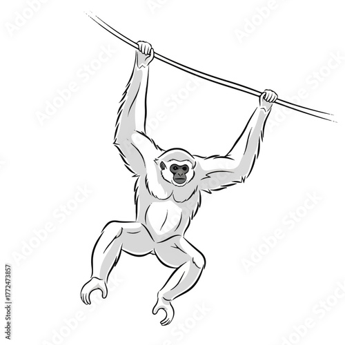 a gibbon portrayed in a smooth, stylized motion as it swings from a vine, emphasizing elegance and rhythm