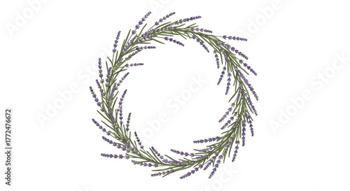 A charming botanical illustration of a circular wreath made from fragrant lavender sprigs and delicate purple blossoms, ideal for decoration.