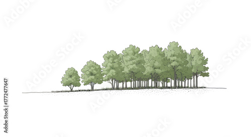 A simple, elegant sketch of a grove of green deciduous trees against a clean white background.