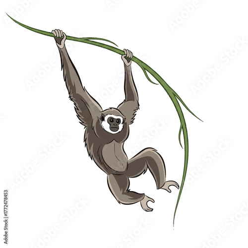 a graceful gibbon hanging from a vine, depicted with sleek contours and rhythmic form