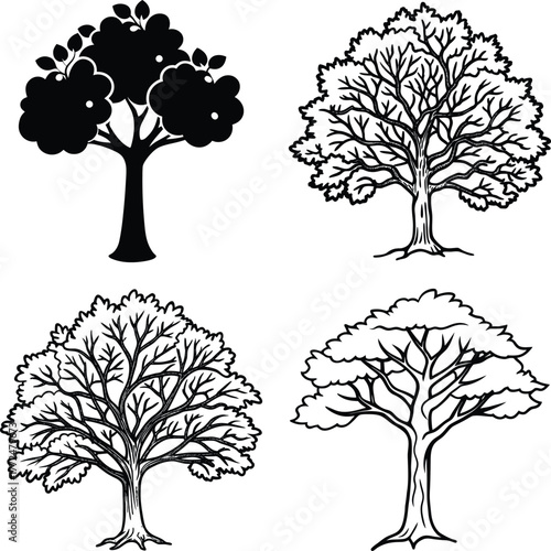 silhouette tree line drawing set, Side view, set of graphics trees elements outline symbol for architecture and landscape design drawing. Vector illustration in stroke fill in white. Tropical
