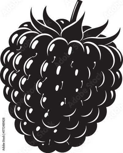 Detailed silhouette of a ripe blackberry fruit with stem for healthy food and produce concepts vector