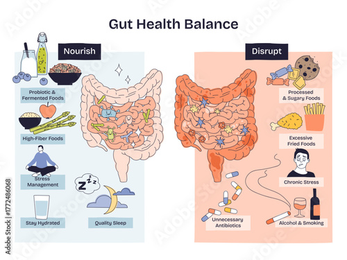 Gut health balance depicted through a split diagram showing healthy vs disrupted microbiome, key objects, intestines, probiotic foods, processed sweets. Doodle style diagram