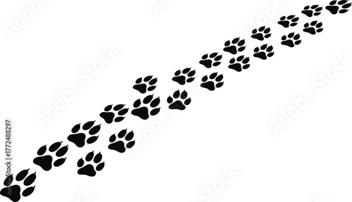 Diagonal animal paw trail vector, black footprints on white background, stylized pet track pattern, isolated graphic design for decor, logo, education