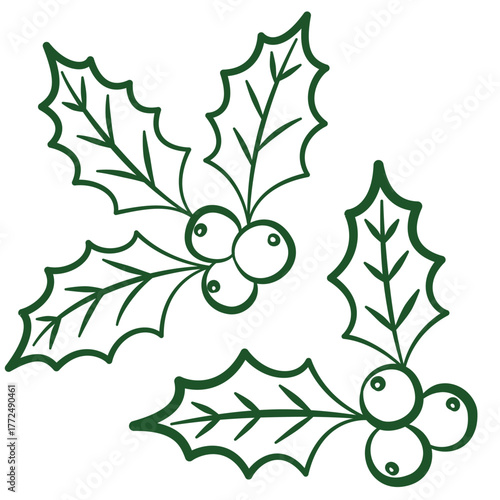 Holly plants with berries, retro vintage hand drawn illustration, plant with berries. Leaves and fruit isolated on a white background. New year and Christmas decoration