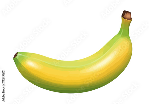Fresh Banana Fruit with Yellow and Green Peel Vector Illustration.