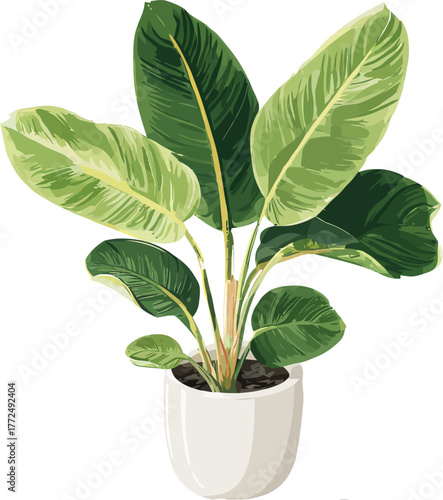 A tiny succulent with green leaves and one bloom in a white container is ideal for decorating a house