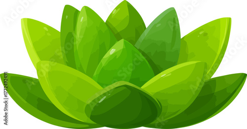 Nature's design is beautifully showcased through a vibrant green succulent plant that has delicate leaves and is isolated against a white background