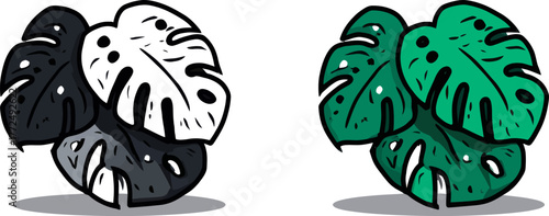 A plant's fresh green leaves are shown alone on a white background, ideal for botany and herbal designs