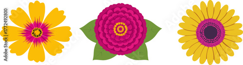 Against a plain white setting, a zinnia flower displays its vibrant pink petals, yellow center, and accompanying green leaves