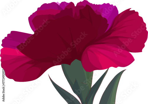 In a close-up, the vibrant illustration of a pansy flower displays its intricate color patterns and the delicate, ruffled texture of its petals