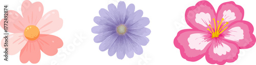 On a white background, a beautiful purple flower with a dark brown center and delicate petals is prominently displayed