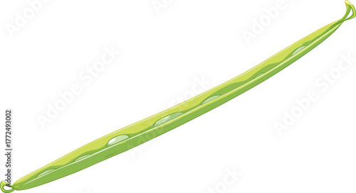 The detailed artwork showcases a single green leaf with notched edges, accentuating its detailed vein structure and vivid green tones on a stark white background