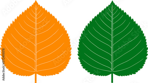 A single branch with bicolored leaves in shades of green and orange is the subject of a stylized illustration that is botanical in nature