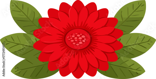 On a white background, an illustration of a red flower similar to a daisy is depicted, complete with a dark center filled with pollen and flanked by two green leaves, all rendered in a simple,