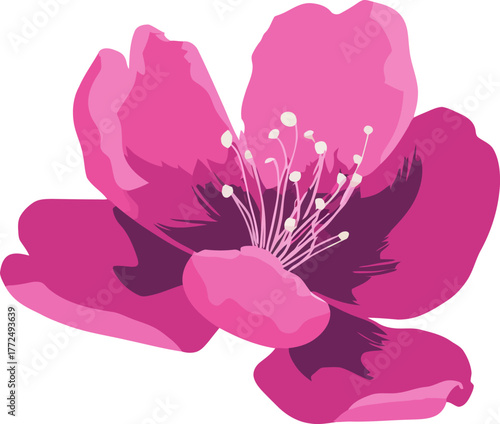 The elegant appearance of a pink lily, complete with leaves and a detailed blossom, makes for a stunning floral design on a white background