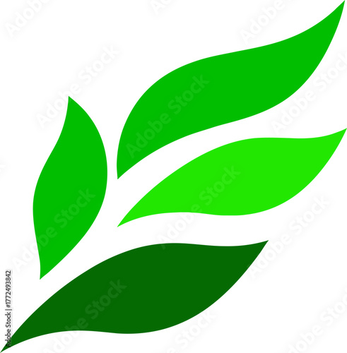 The image features a solitary green leaf in close-up detail, with its fresh textures and vein patterns standing out against a plain white backdrop to evoke an abstract sense of nature's leaves