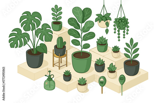 Popular indoor houseplants arranged on geometric platforms with gardening tools and accessories