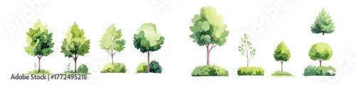 Vector watercolor green lush or forest side view isolated on white background for landscape and architecture drawing,elements for environment or and garden,Shrub for section